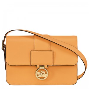 Longchamp Box-trot M Crossbody Bag Cais | DSBWY-0427