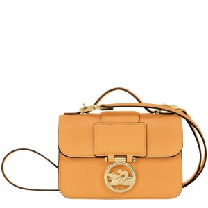 Longchamp Box-trot Xs Crossbody Bag Cais | HBKQD-2903