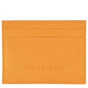Longchamp Le Foulonné Cardholder Cais | DSKAP-3478