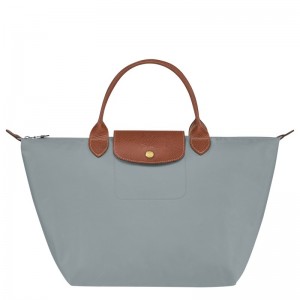 Longchamp Le Pliage Original M Handbag Steel | YIWTD-3280