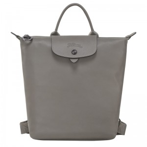 Longchamp Le Pliage Xtra S Backpack Turtledove | QRHAS-5461