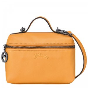 Longchamp Le Pliage Xtra Xs Vanity Cais | JSIZK-5063