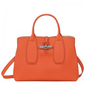 Longchamp Le Roseau M Handbag Portocalii | ONXHA-9608