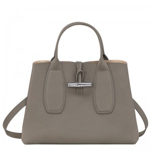 Longchamp Le Roseau M Handbag Turtledove | VNZIL-8731
