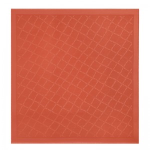 Longchamp Le Roseau Shawl Paprika | NCXJD-7406