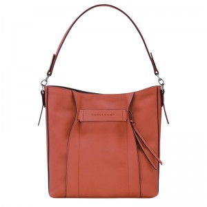 Longchamp Longchamp 3d M Hobo Bag Sienna | JPYQC-6970