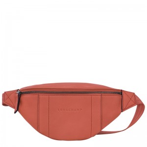Longchamp Longchamp 3d S Belt Bag Sienna | ZNVJE-6420
