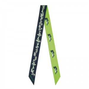 Longchamp Longchamp University Headband Verzi | IDPQM-8025