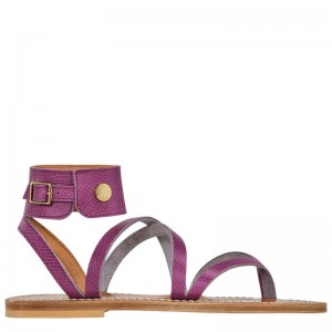 Longchamp Longchamp X K.Jacques Sandals Violet | CZBUA-0742