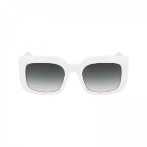 Longchamp Sunglasses Albi | CJUQS-9146