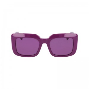 Longchamp Sunglasses Albi | UIXDP-1862