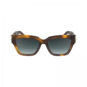 Longchamp Sunglasses Havana | HALXV-8203