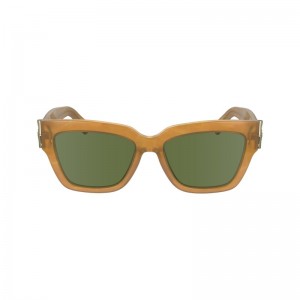 Longchamp Sunglasses Honey | RUFLH-6194