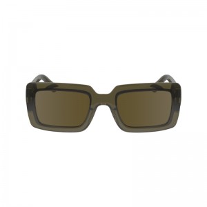 Longchamp Sunglasses Kaki | GFDYX-9073