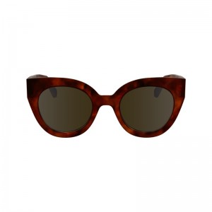 Longchamp Sunglasses Maro | QHOWV-8026