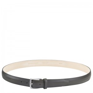 Longchamp Végétal Belt Gri | IDXYV-6973